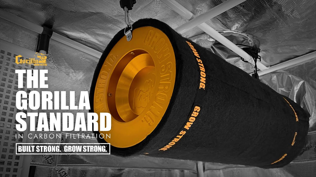 Gorilla Coconut Carbon Filter Features