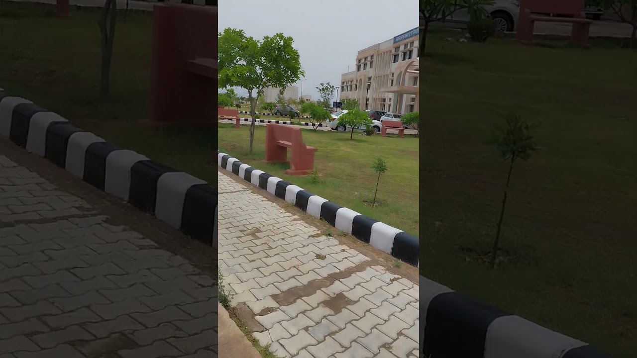 #Maharaja surajmal university Bharatpur for graduation ##subscribe my channel #viral short#