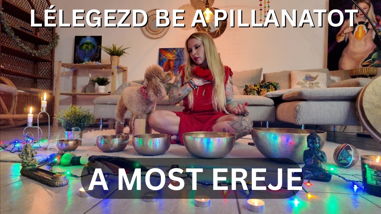 Engedd meg magadnak az &eacute;let &Eacute;LVEZET&Eacute;T- 15 perc jelenl&eacute;t &eacute;s lelassul&aacute;s medit&aacute;ci&oacute;val