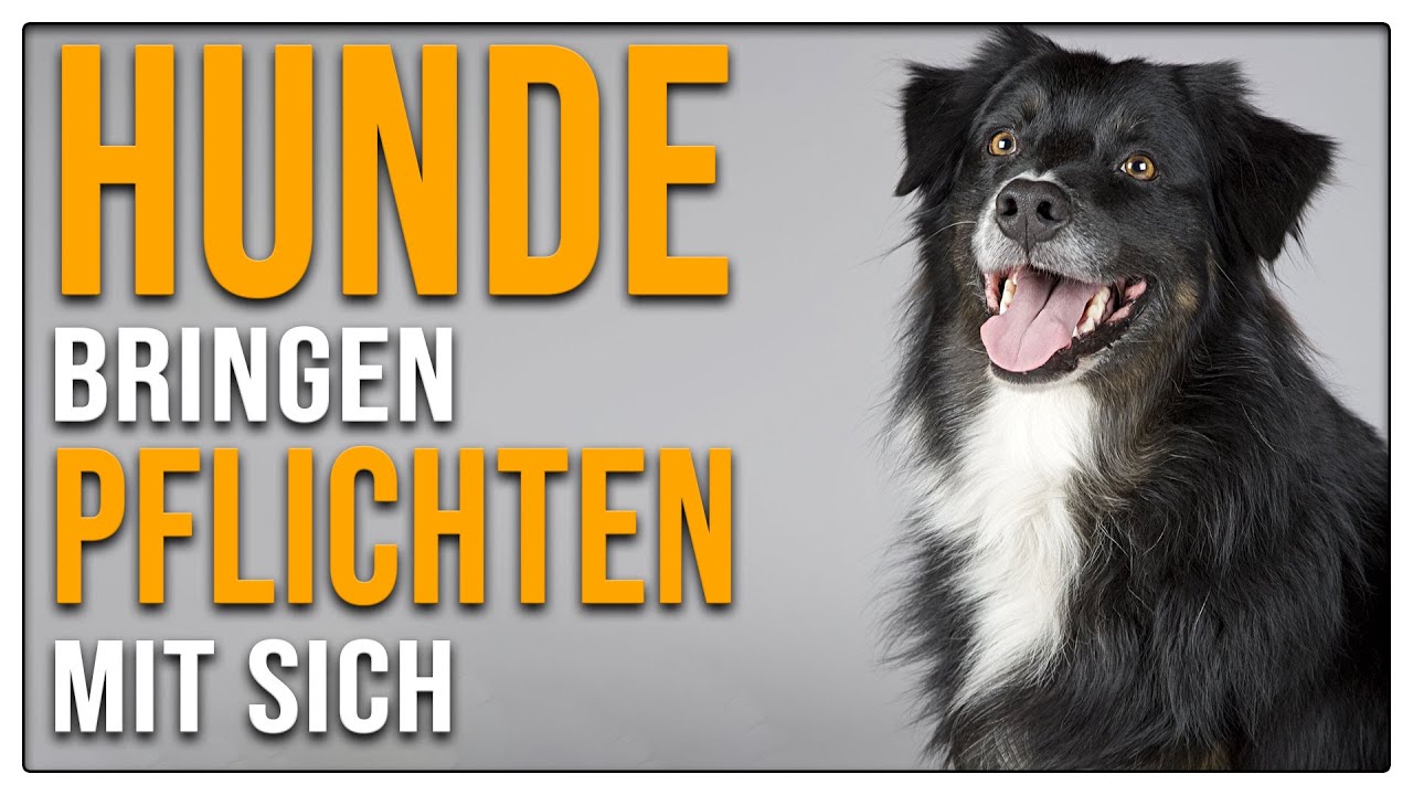 Hundehaltung heißt Verantwortung - TGH 463
