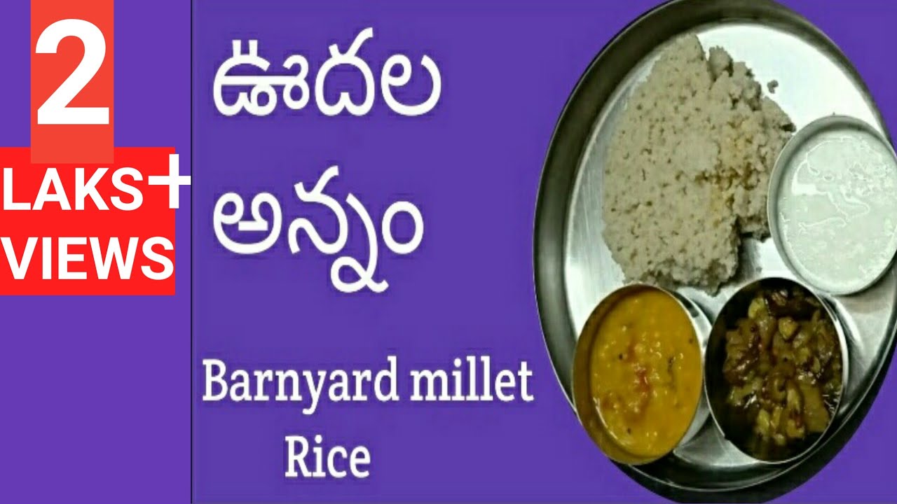 ఊదల అన్నం||Barnyard millet rice