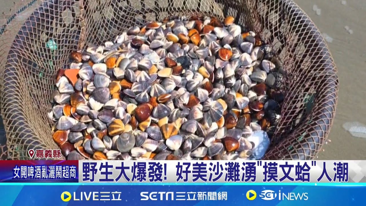 野生大爆發! 好美沙灘湧