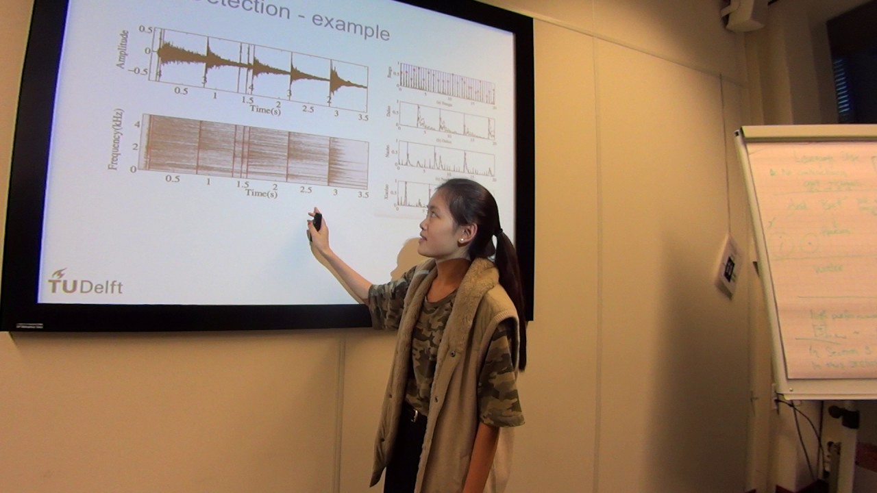 Automatic Drum Transcription using audio and visual analysis