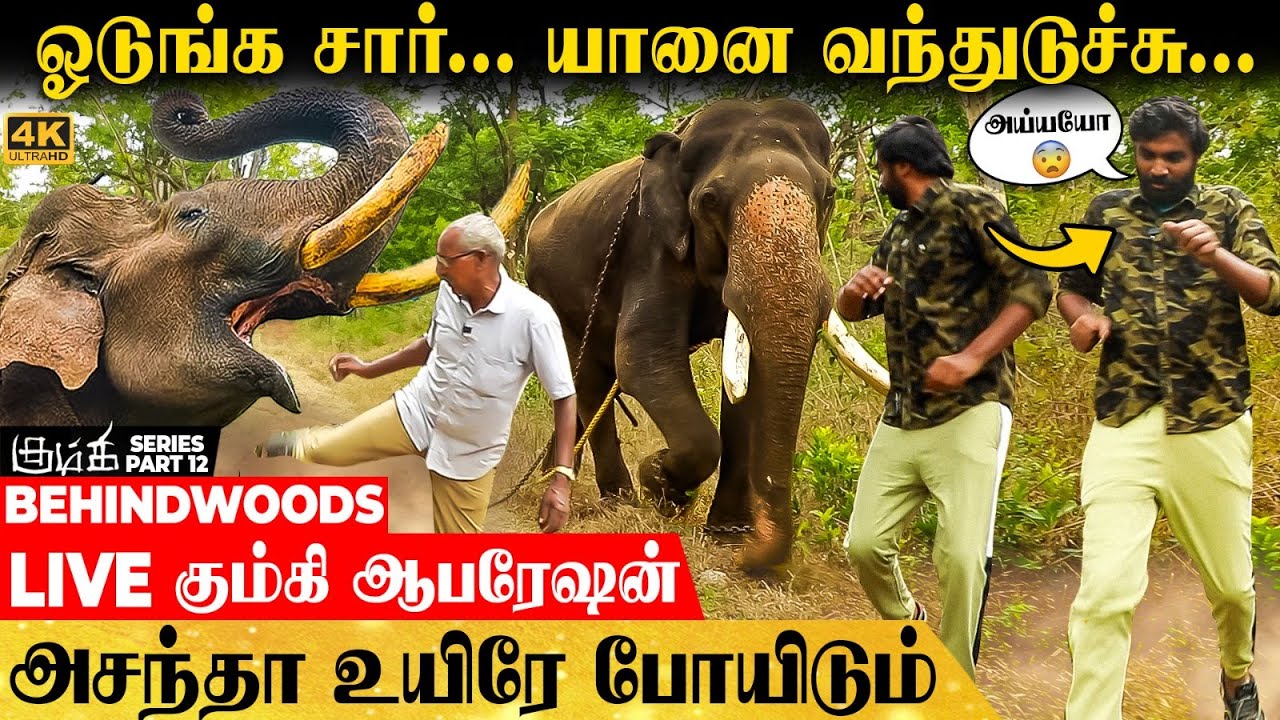 அடம்பிடிக்கும் காட்டு யானை..🐘 நேரில் பார்த்து மிரண்டுபோன Anchor! LIVE கும்கி ஆபரேஷன்