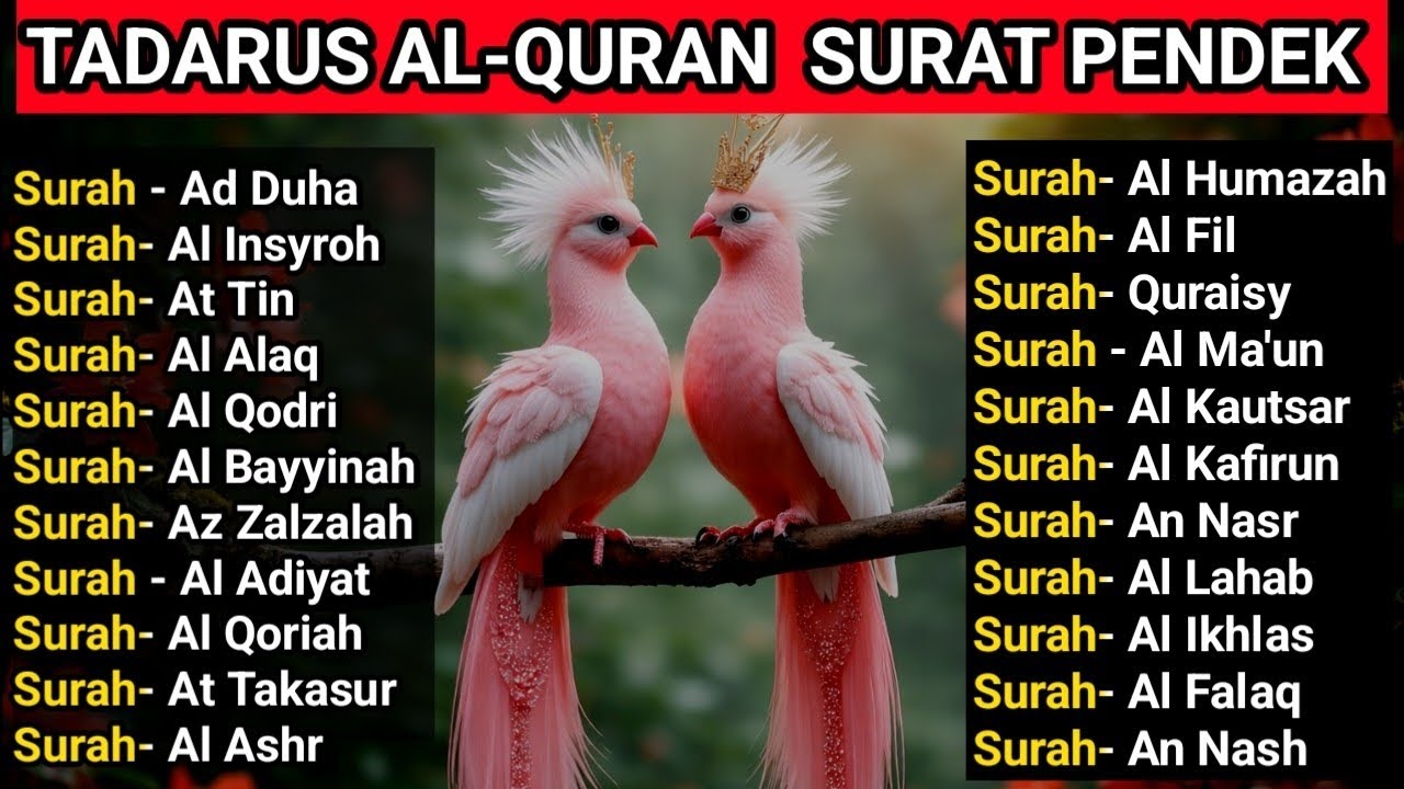 -Hafalan Surat-Surat Pendek Al-Qur’an untuk Bacaan Sholat | murottal juz amma
