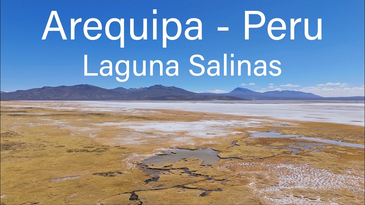 Peru. Arequipa- Laguna Salinas