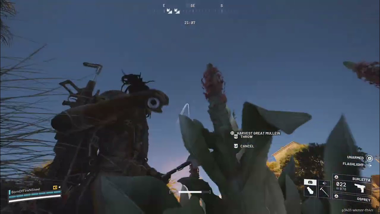 What happens when a rat meets wholesome players