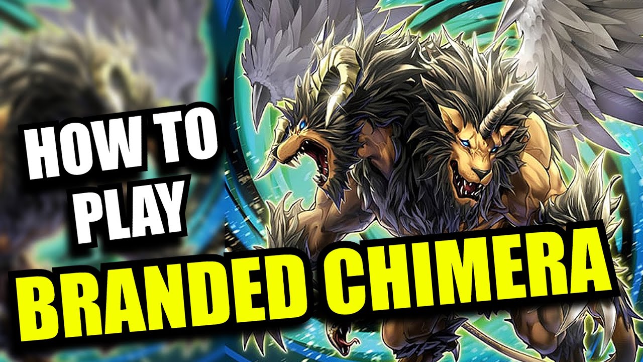 Yu-Gi-Oh! How to Play Branded Chimera! - Branded Chimera Combo Guide!