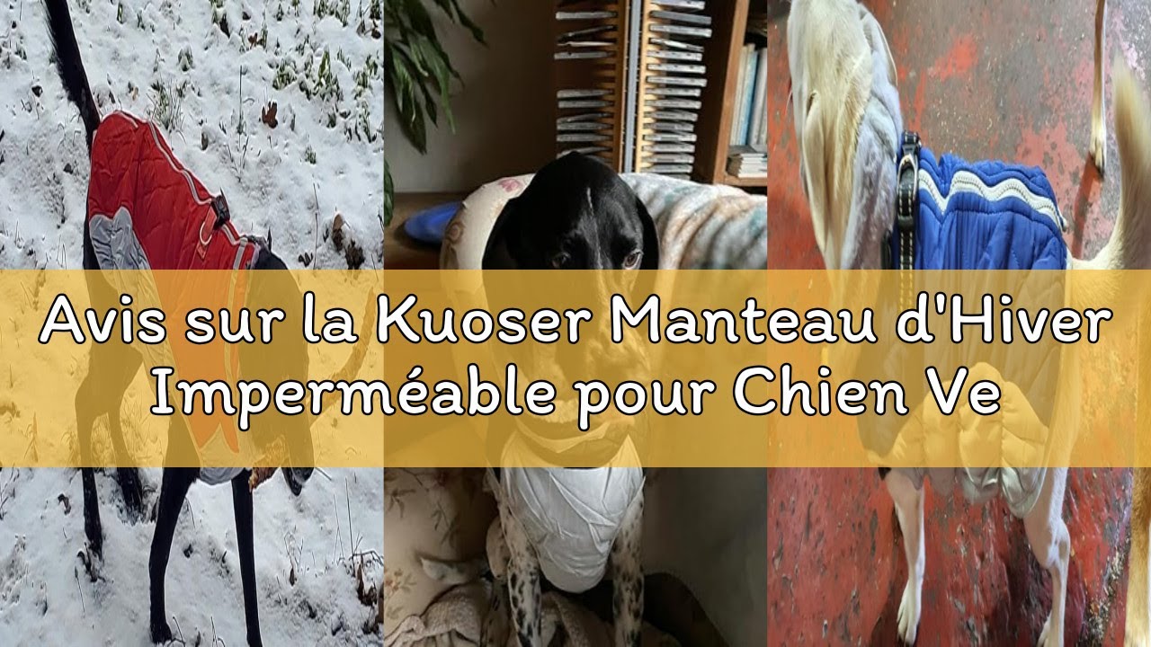 Avis sur la Kuoser Manteau d'Hiver Imperméable pour Chien Veste Chaude Doublé en Polaire pour Chiot
