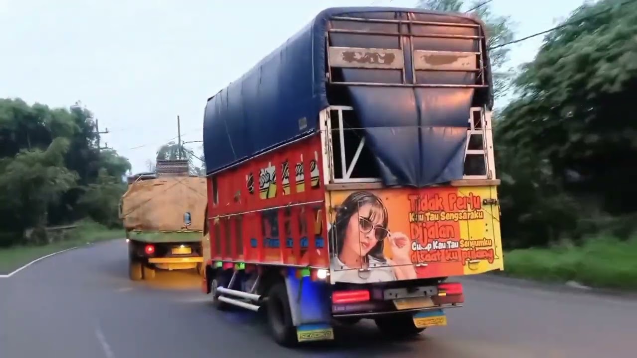 Truk mas egah lintas Ngoro 🚀