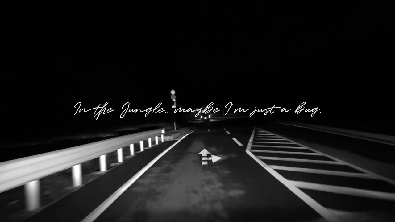 縉 Jin - In the jungle..maybe I'm just a bug. (Official Audio)