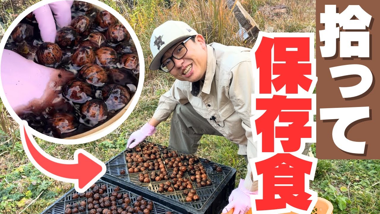 ドロドロのクルミ！ガチョウと格闘しながら、洗って干すクルミ仕事