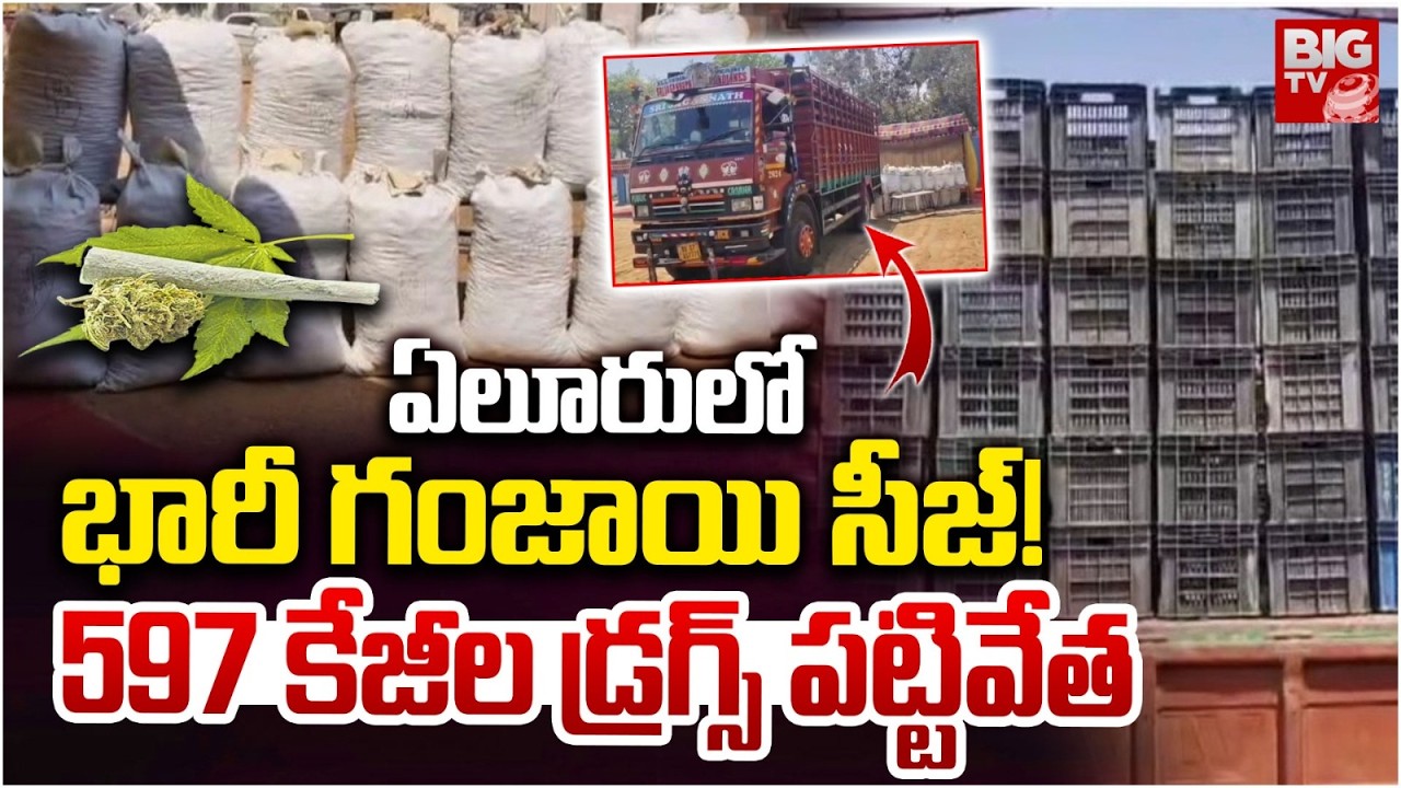 Eluru Drugs Racket Arrest | ఏలూరులో భారీ గంజాయి సీజ్! 597 కేజీల డ్రగ్స్ పట్టివేత | BIG TV