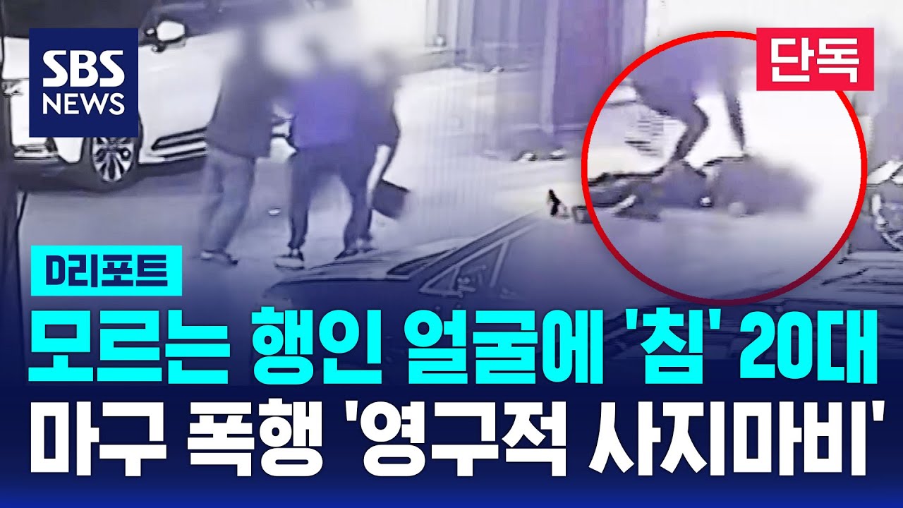 [단독] 행인에 침 뱉고 엎어치기해 '사지마비'..20대 남성 구속기소 / SBS / #D리포트