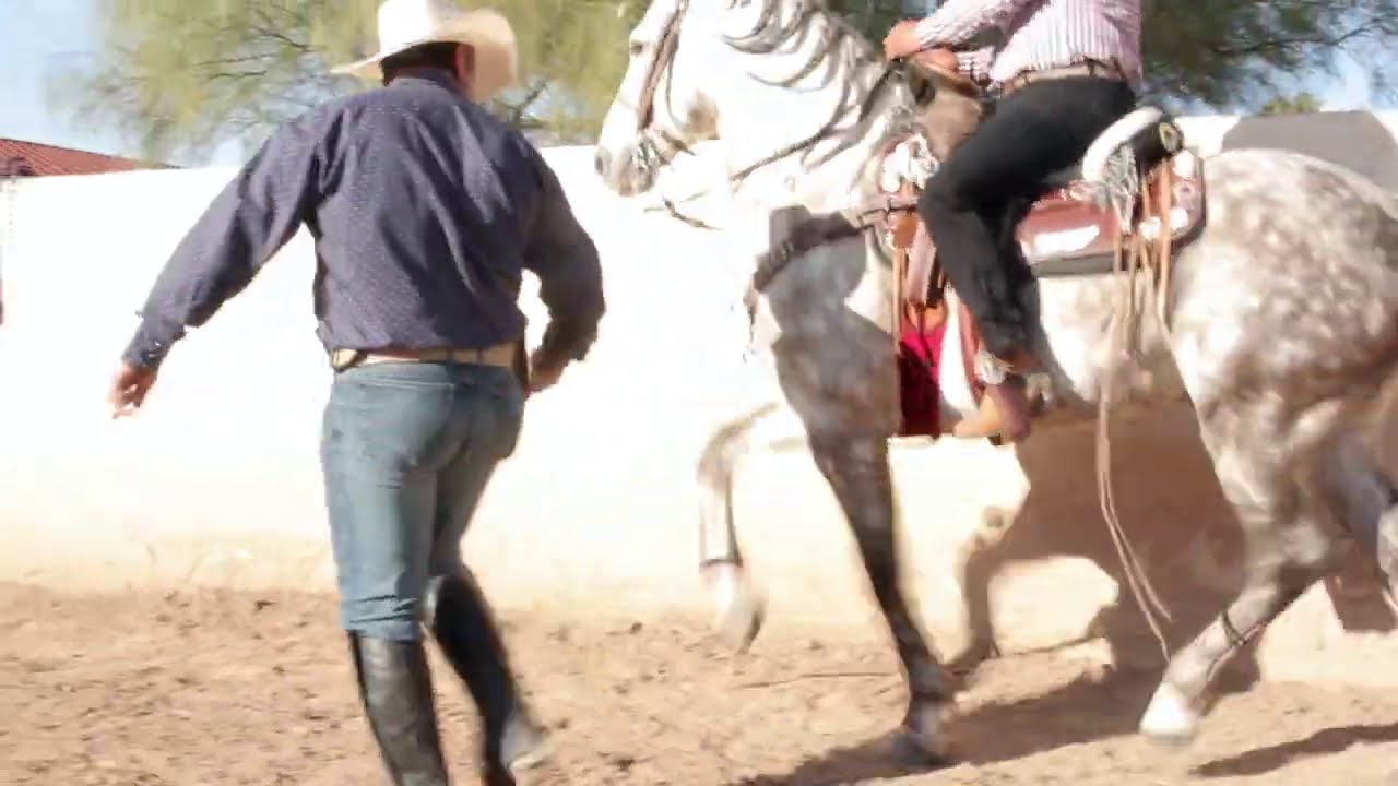 Como hacer el Passage SUSPENDIDO - 2da. Parte