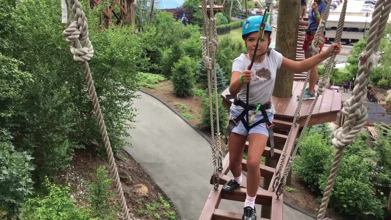 Treetop Adventure Turtle back ZOO