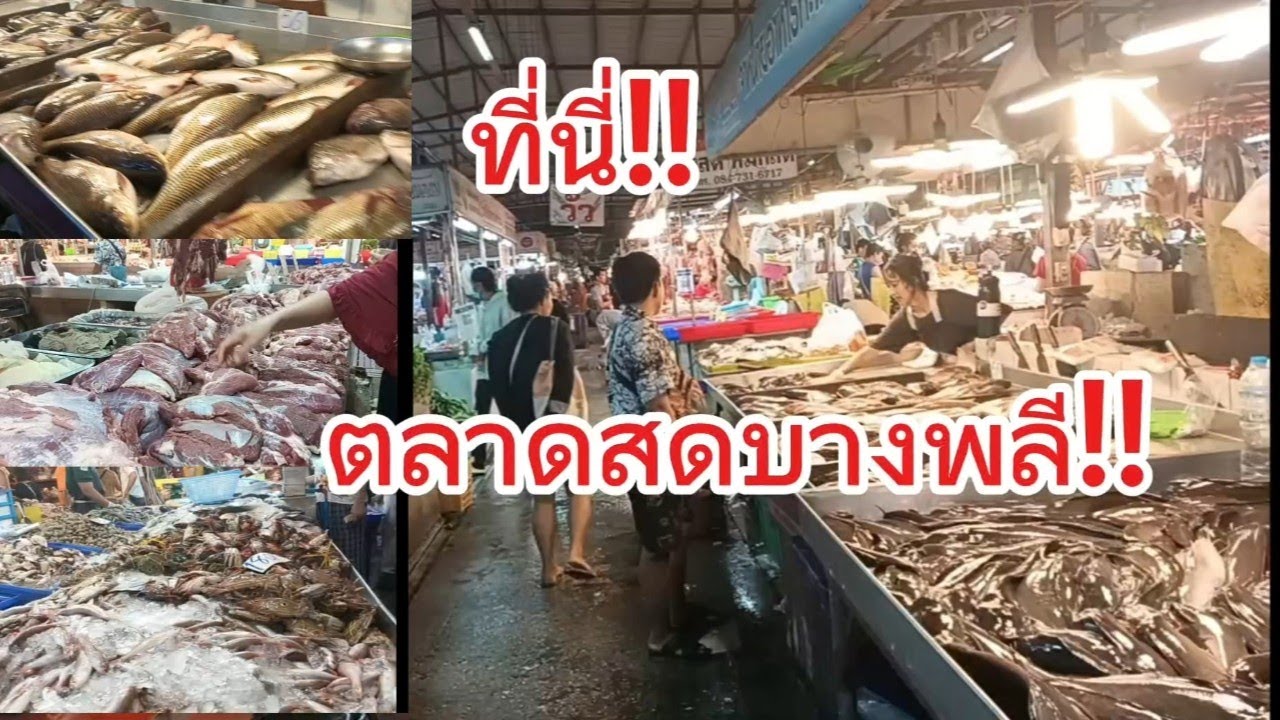 พาพี่น้องเอฟซีเดินเลาะตลาดหาแนวกินเซ่าของเยอะมาก เนื้อสดๆ ปลาตัวใหญ่ๆ อาหารทะเลก็เยอะ (ตลาดสดบางพลี)