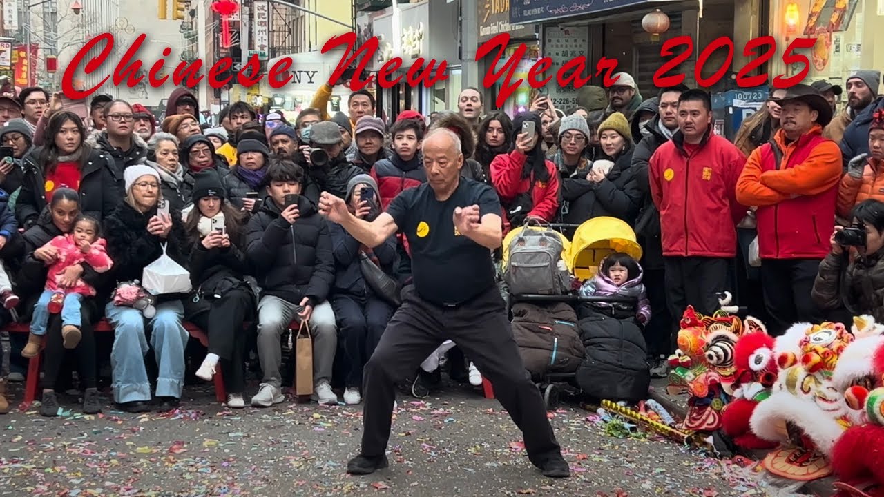 Grandmaster Norman Chin performs his Southern Mantis Form (Chinatown, NYC - 2-8-25)
