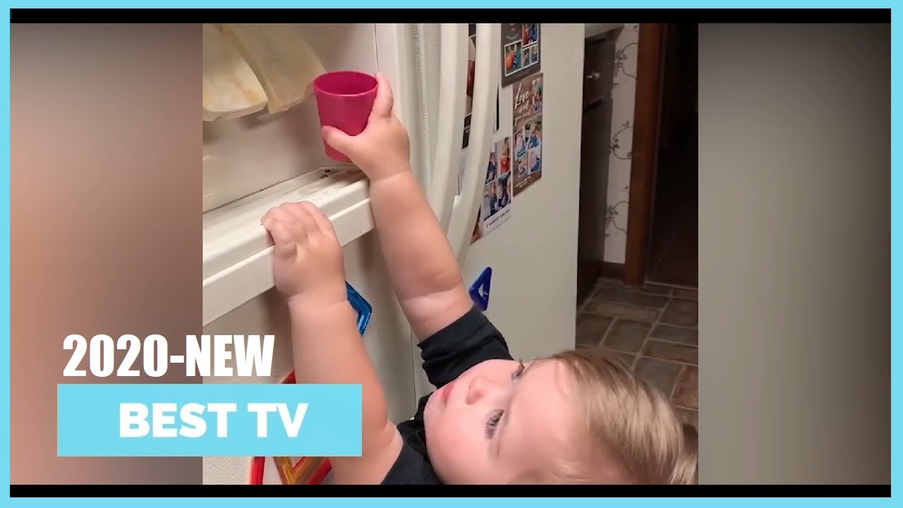 Try Not To Laugh Challenge - Best Funny videos June 2020 (Part 2)