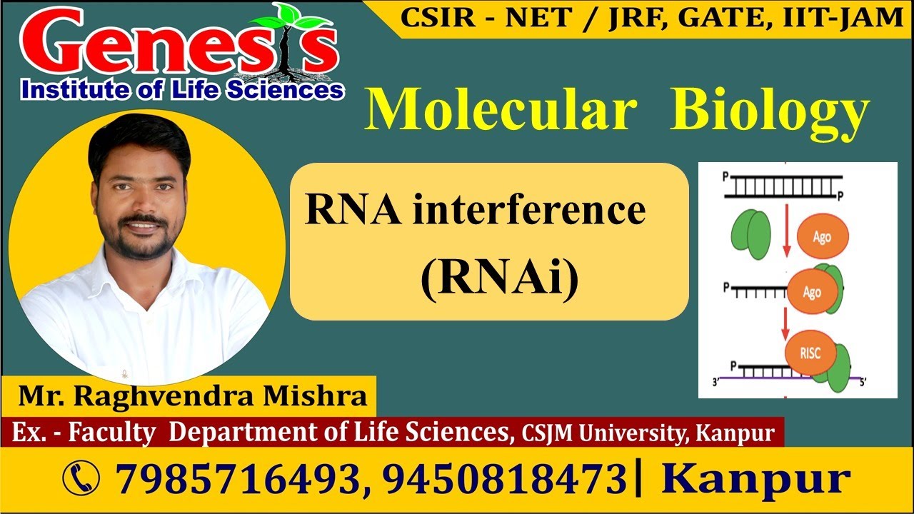 RNA interference | RNAi | Molecular Biology | CSIR NET/JRF | Life science | GATE| DBT