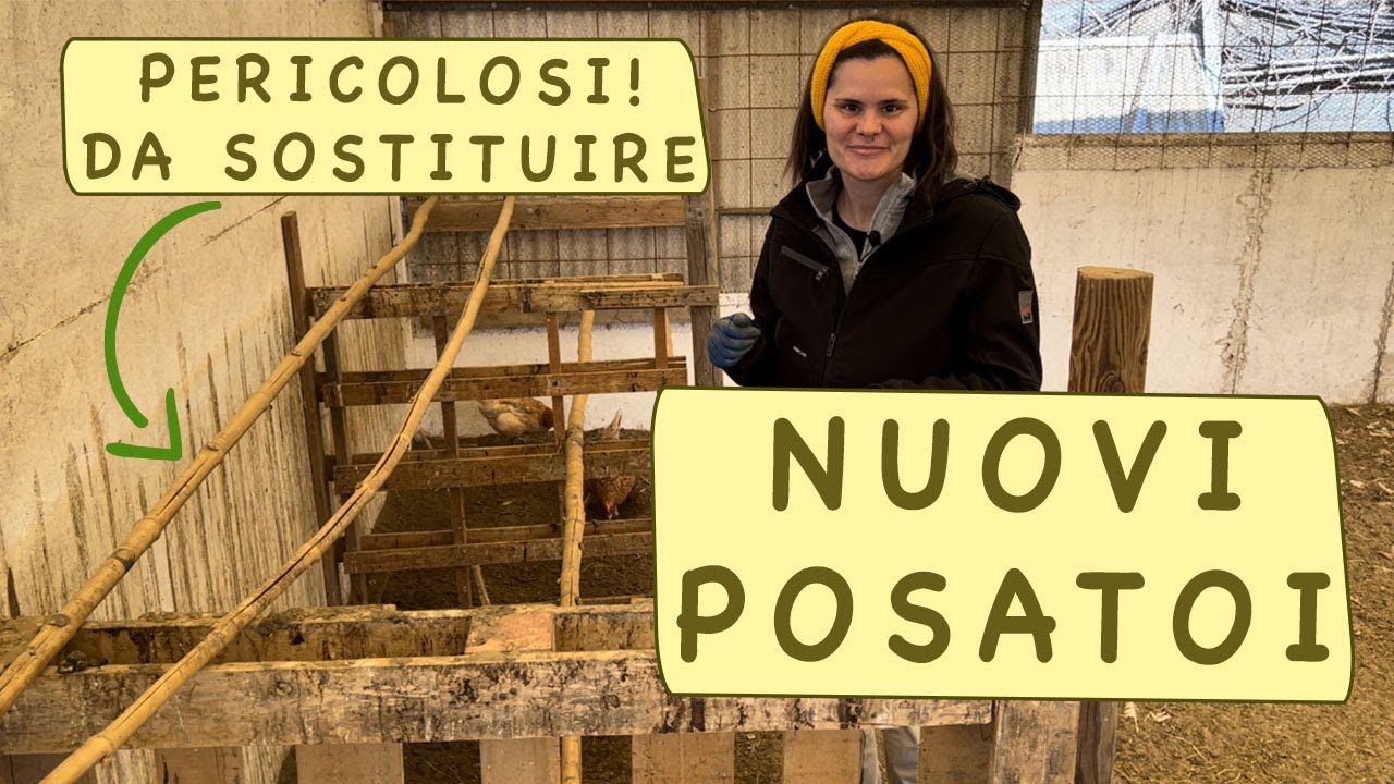 LAVORI al POLLAIO - manutenzione