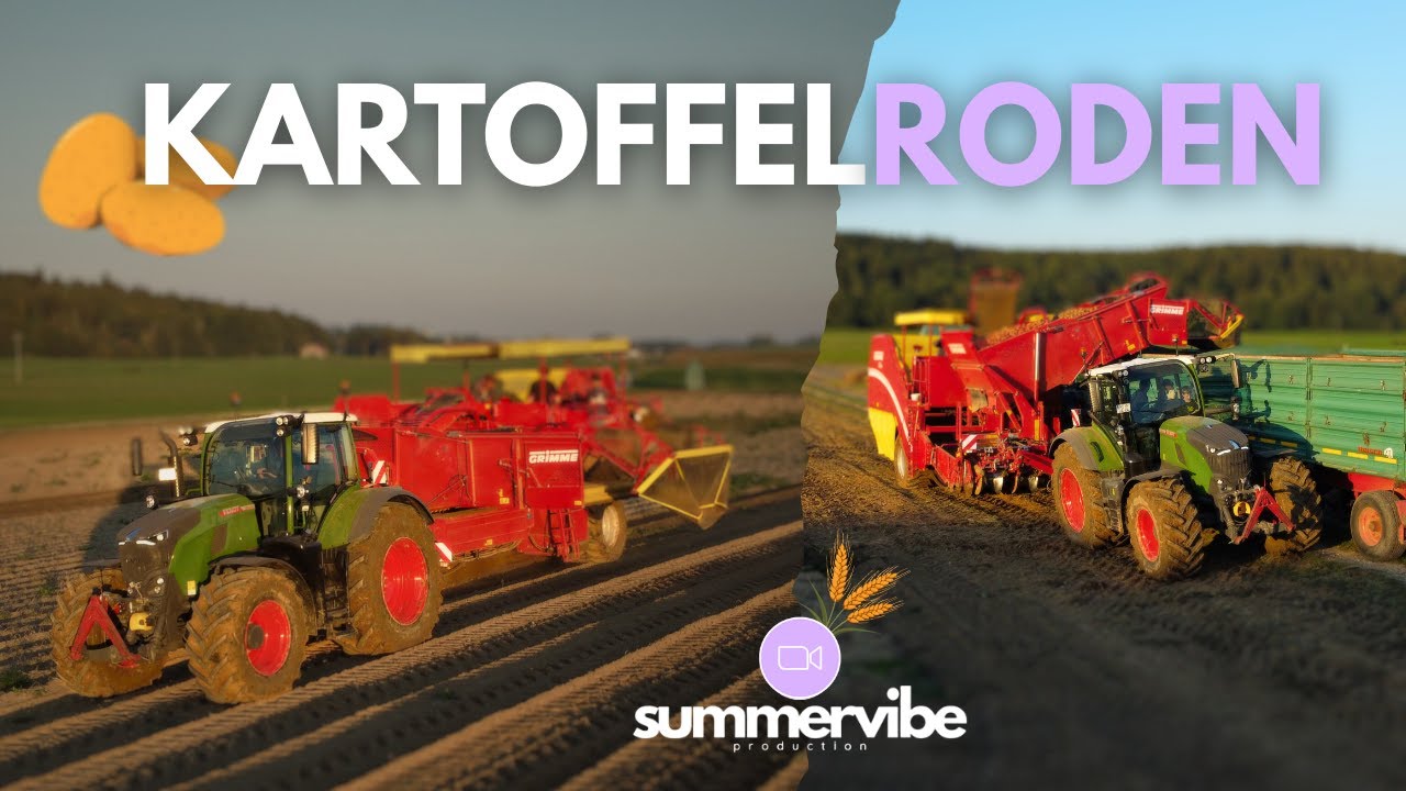 FENDT 728 Gen7 | Kartoffelroden mit GRIMME SE 260 | Summervibe Production
