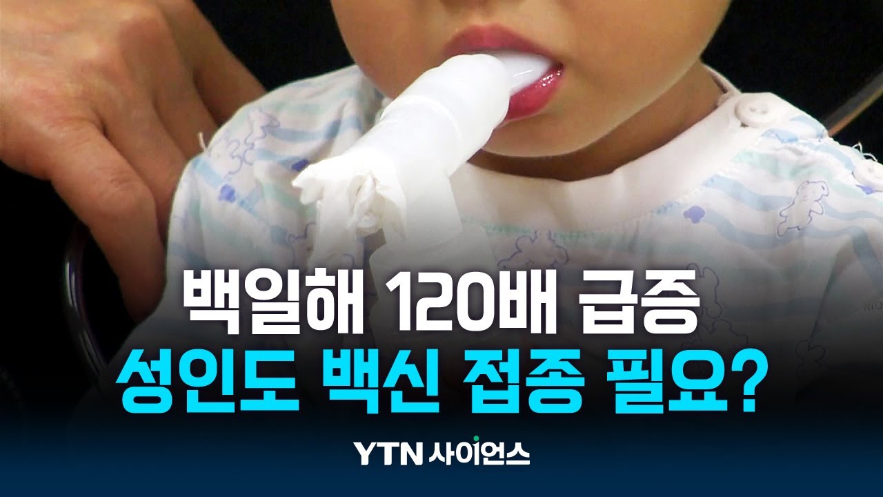 백일해 예방접종, 성인도 맞아야 하나요? | 과학뉴스 24.11.22