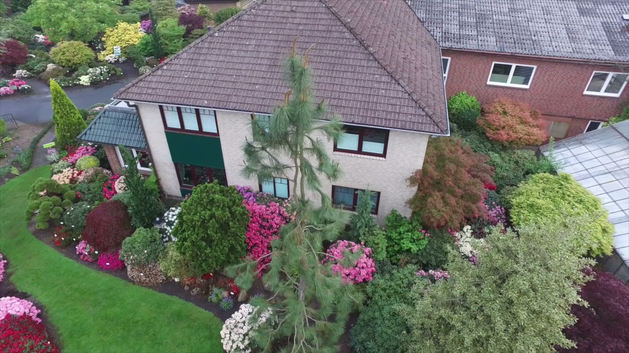 Baumschule Hachmann: Leidenschaft Rhododendron, Drohnenfilm