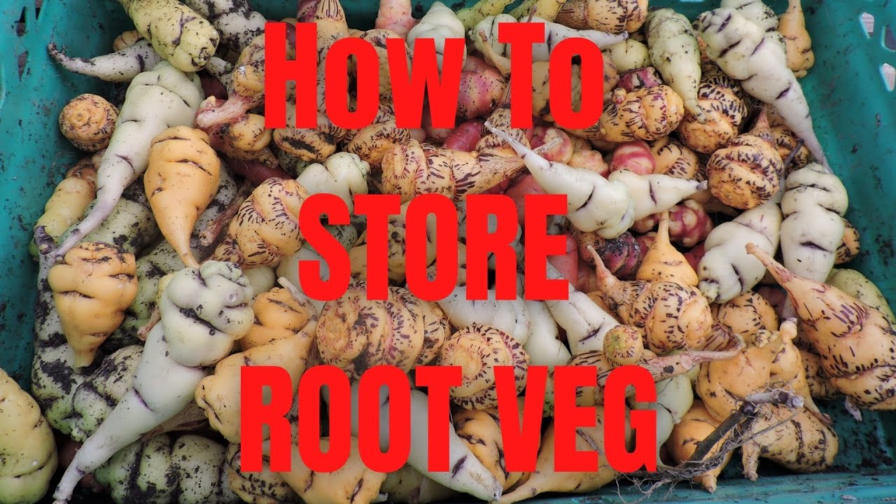 How to Store Tubers & Other Root Vegetables
