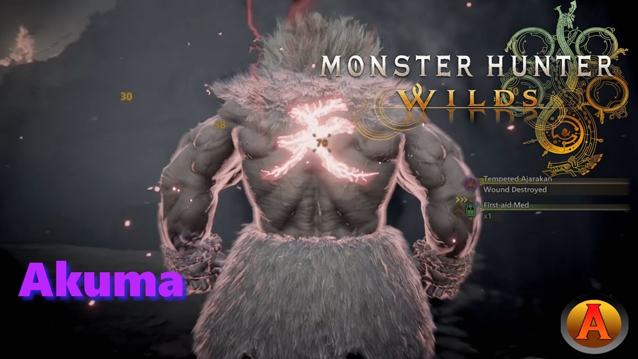 Monster Hunter Wilds:  Akuma vs Tempered Ajarakan - A Rating