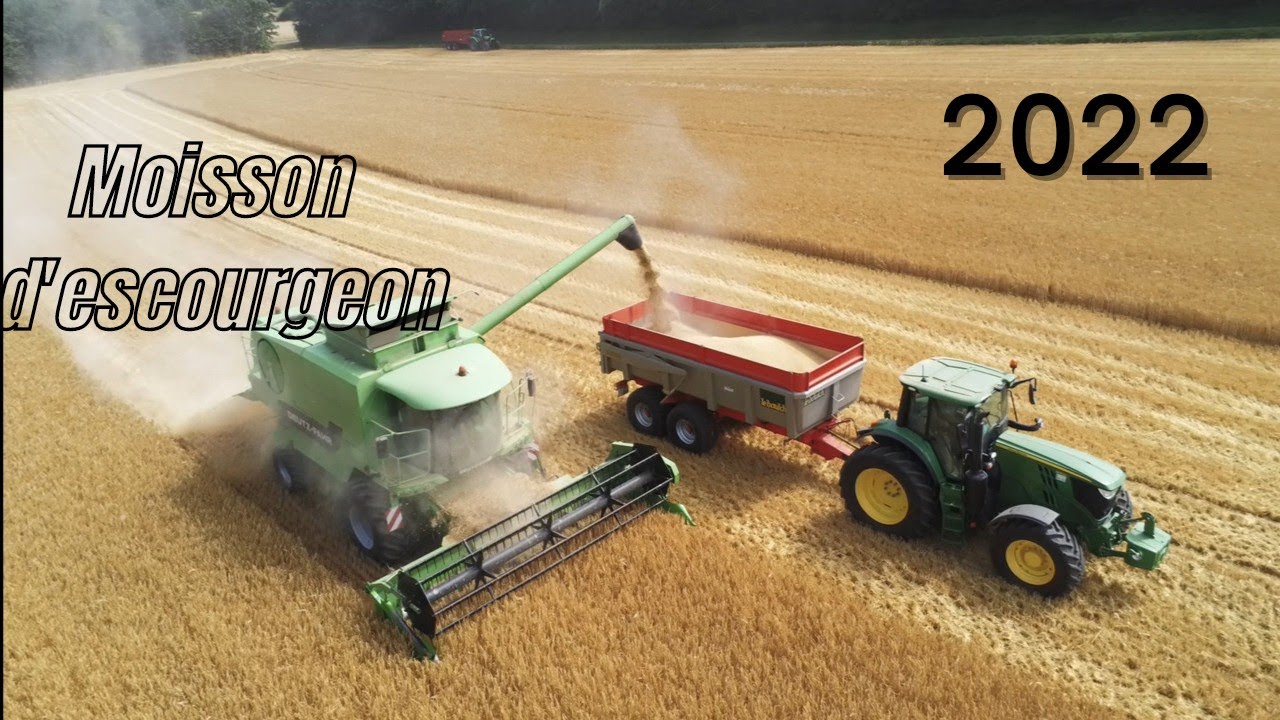 Moisson d'escourgeon🌾 2k22 deutz-farh⚫🟢