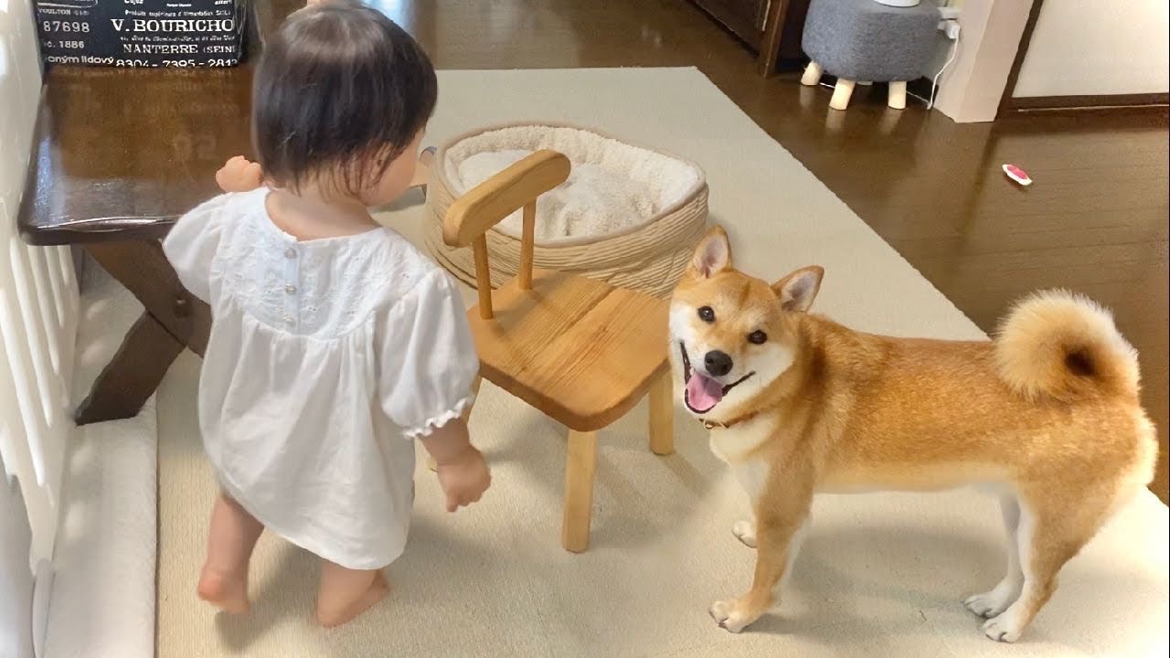 娘に「はじめての椅子」をプレゼントしたら120点満点の笑顔が返ってきた