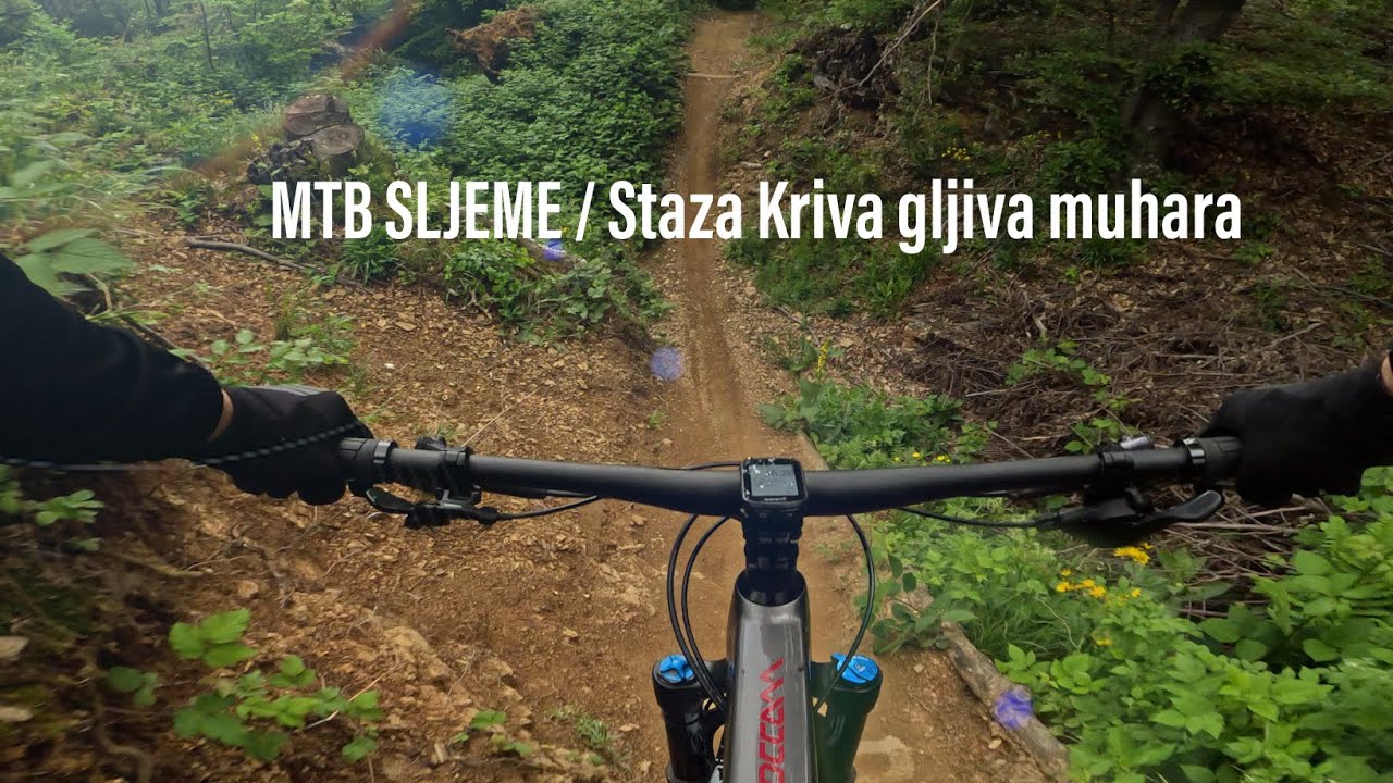 MTB Sljeme / Staza Kriva gljiva muhara / 10.05.2025.