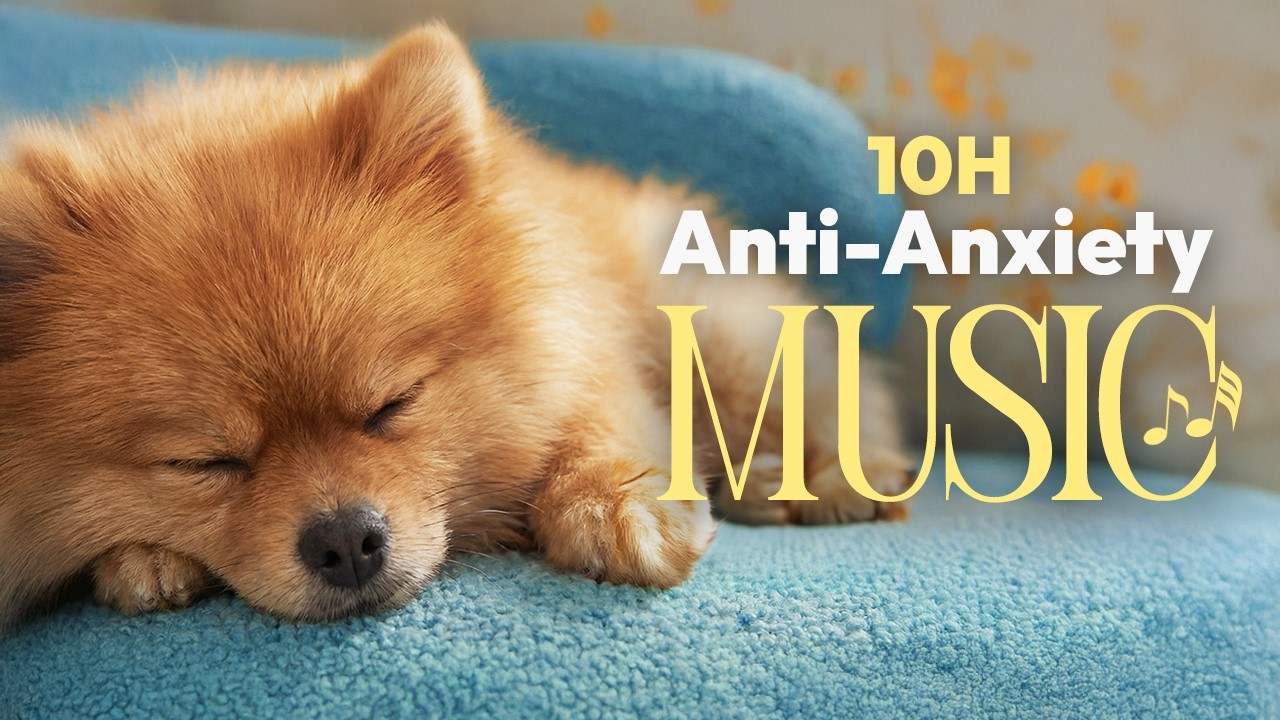 Antianxiety Music for Dogs 🐶 Blue Cloud Morning Relaxation | Separation Anxiety Relief | 10H