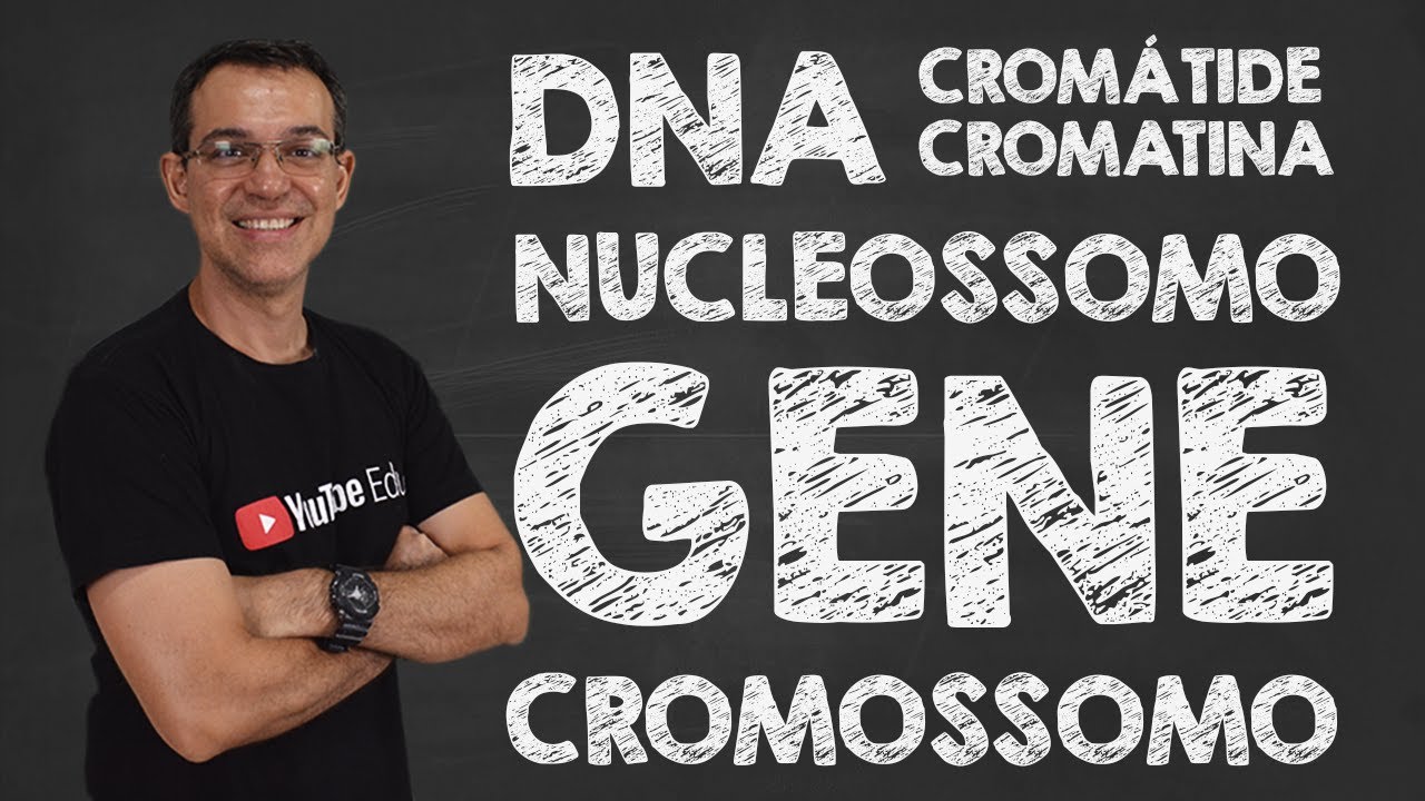 Você vai conseguir diferenciar o que é DNA, NUCLEOSSOMO, CROMATINA, CROMÁTIDE, GENE e CROMOSSOMO