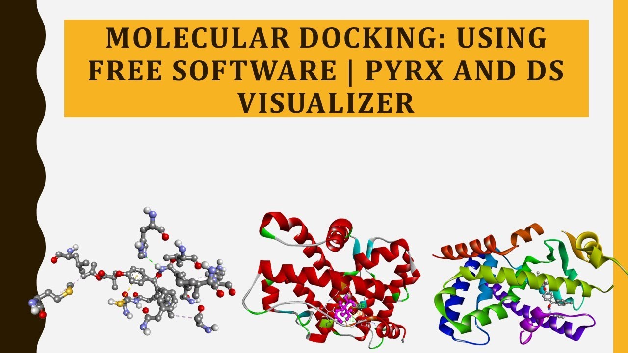 Molecular Docking: Using Free Software | PyRx and DS Visualizer