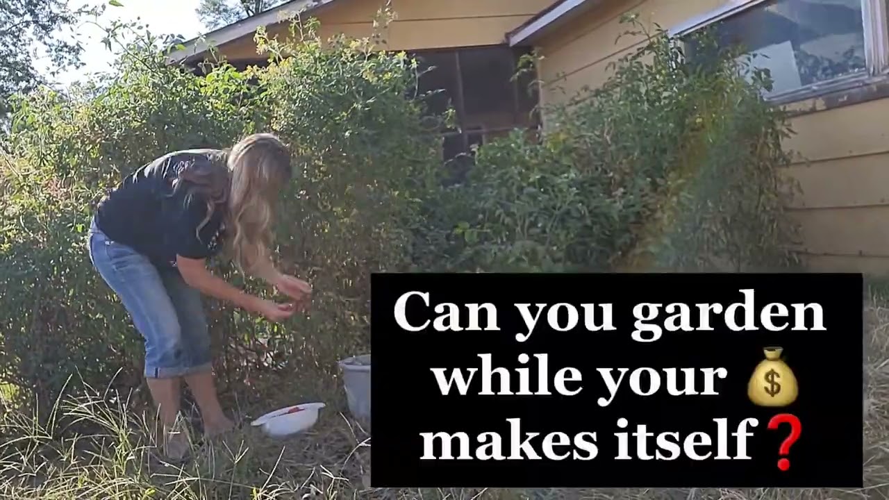 Make money from your garden 