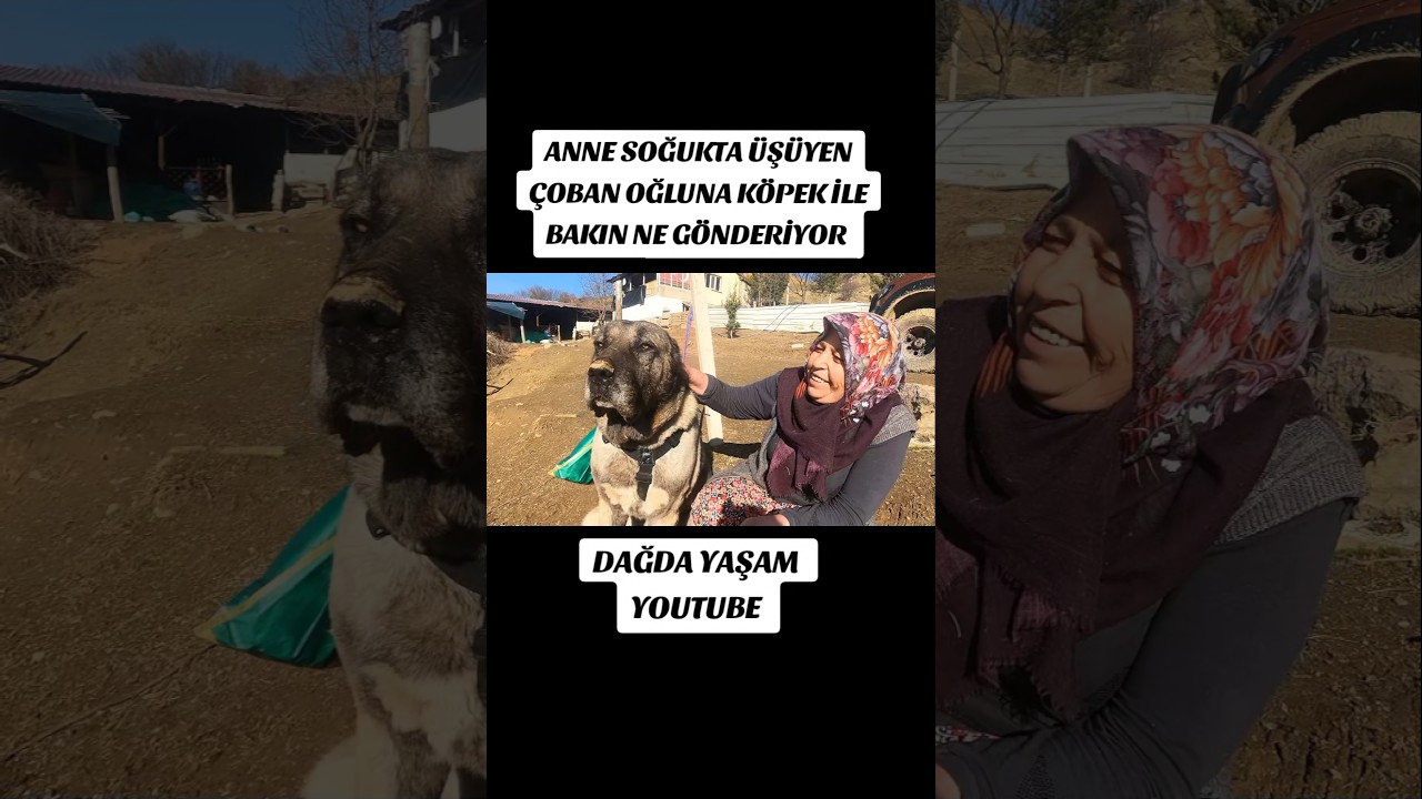 ANNE SOĞUKTA &Uuml;Ş&Uuml;YEN &Ccedil;OBAN OĞLUNA BAKIN NE G&Ouml;NDERİYOR