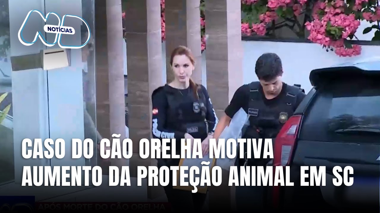 Morte do c&atilde;o Orelha leva governador a sancionar lei de prote&ccedil;&atilde;o animal