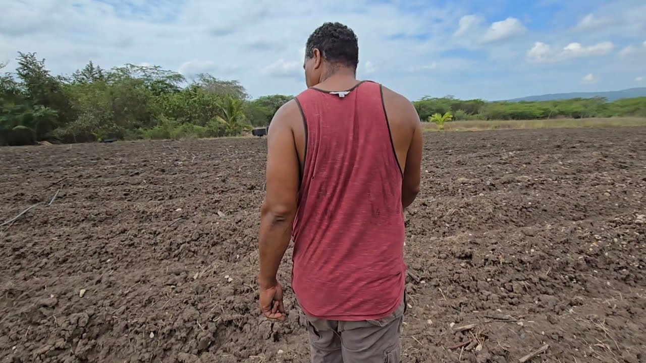 Preparing land to do some great commercial farming farming is the way to go