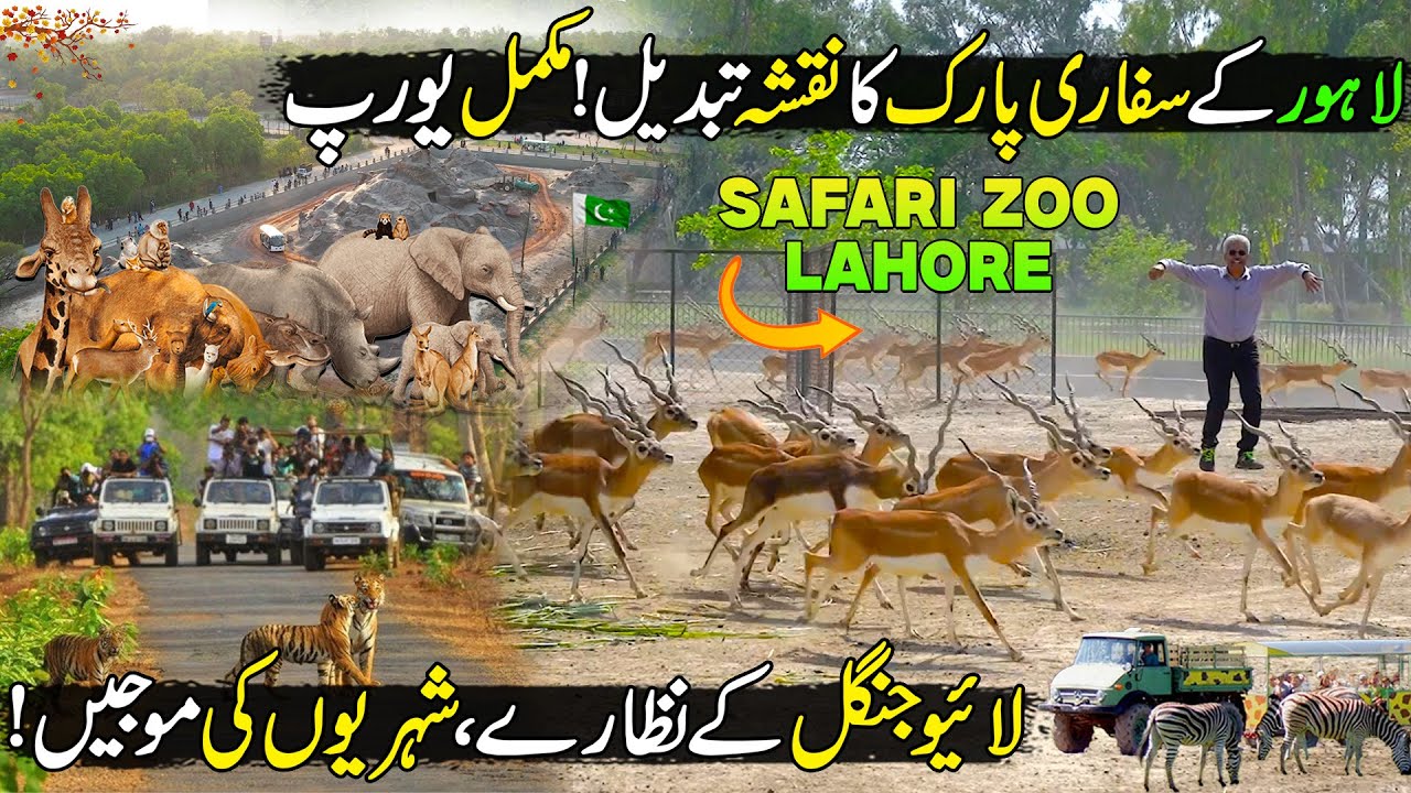 Exploring New Lahore Safari Zoo | Live Zoo Like Europe | Amazing Place to Visit | Discover Pakistan