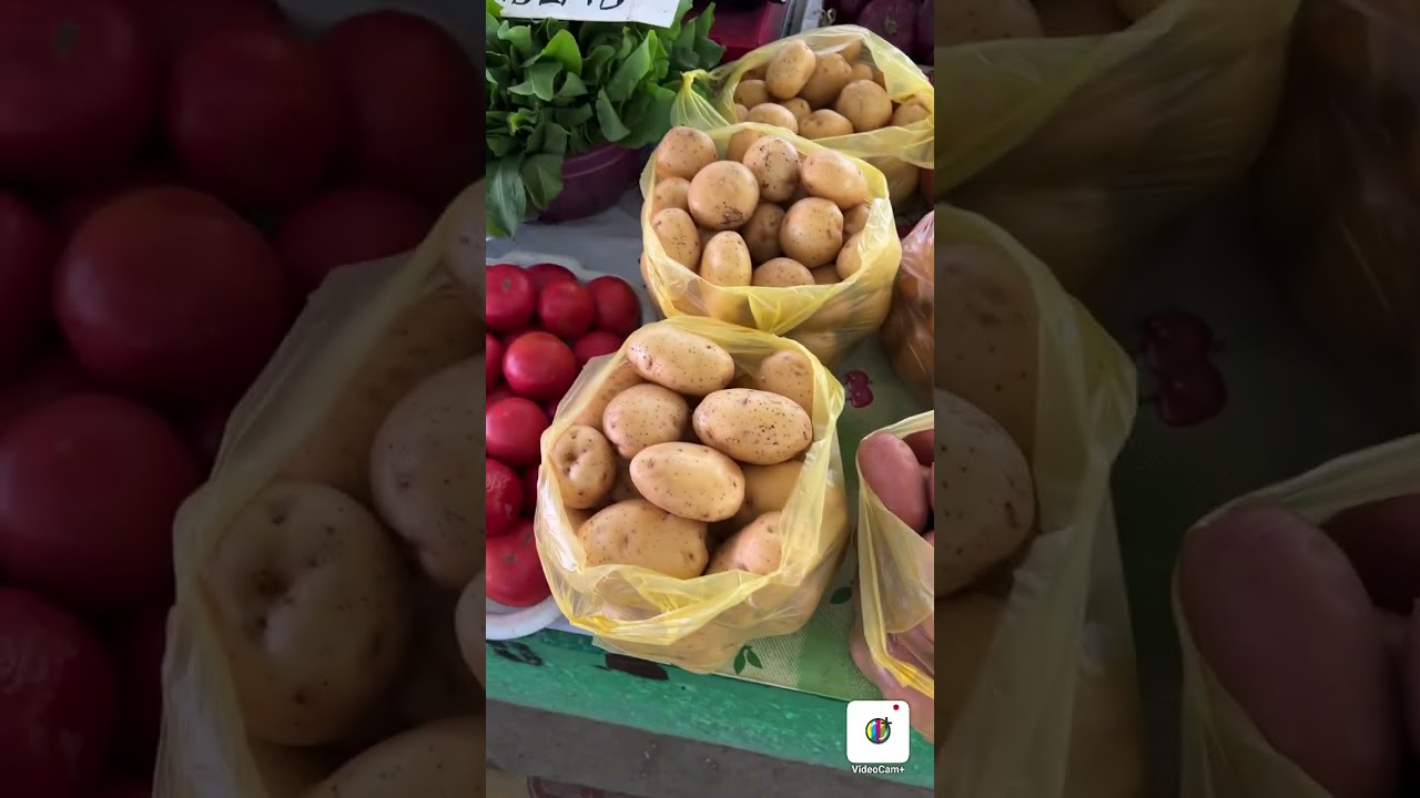 4 августа 2023 ЦЕНЫ НА ЦЕНТРАЛЬНОМ ПРОДУКТОВОМ РЫНКЕ Г.ЩЁЛКИНО