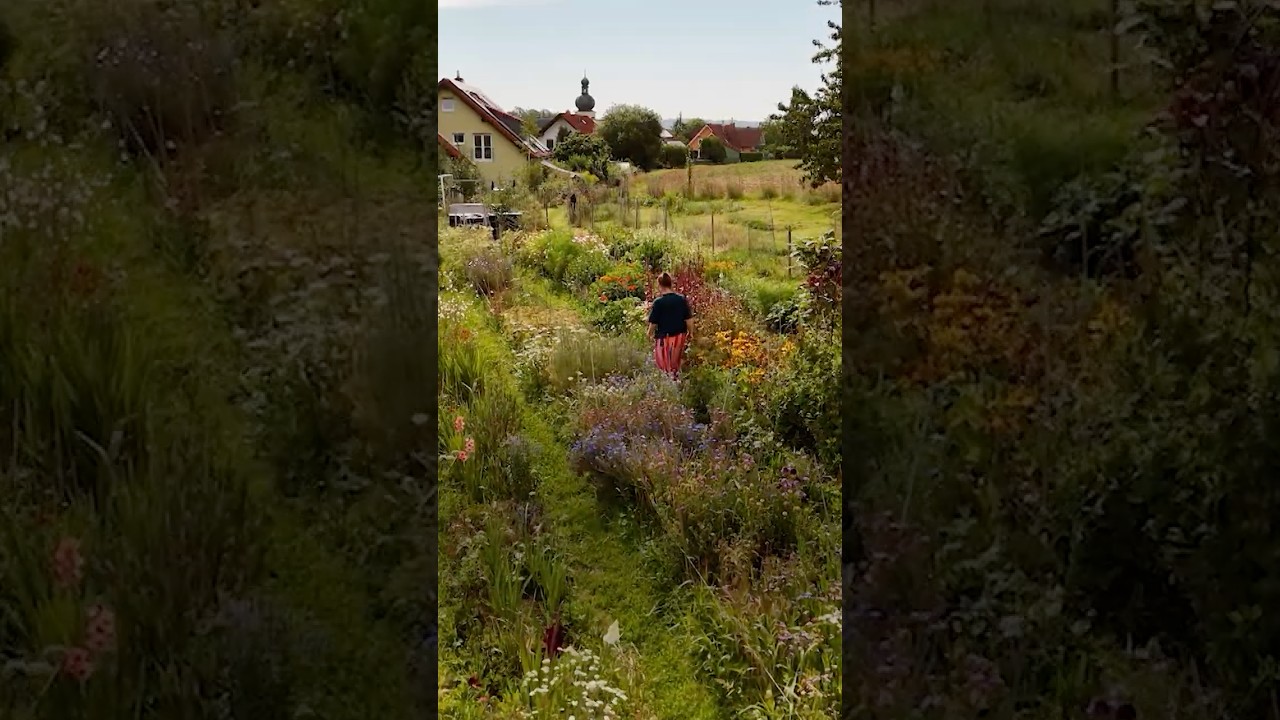 Manuela baut Schnittblumen an &ndash; im Einklang mit der Slowflower-Bewegung 🌼