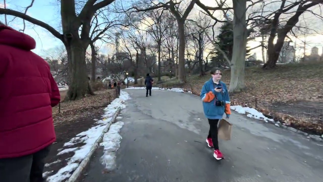 Walk in Central Park New York 2026 