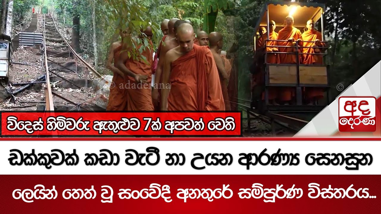 ඩක්කුවක් කඩා වැටී නා උයන ආරණ්‍ය සෙනසුන ලෙයින් තෙත් වූ සංවේදී අනතුරේ සම්පූර්ණ විස්තරය...