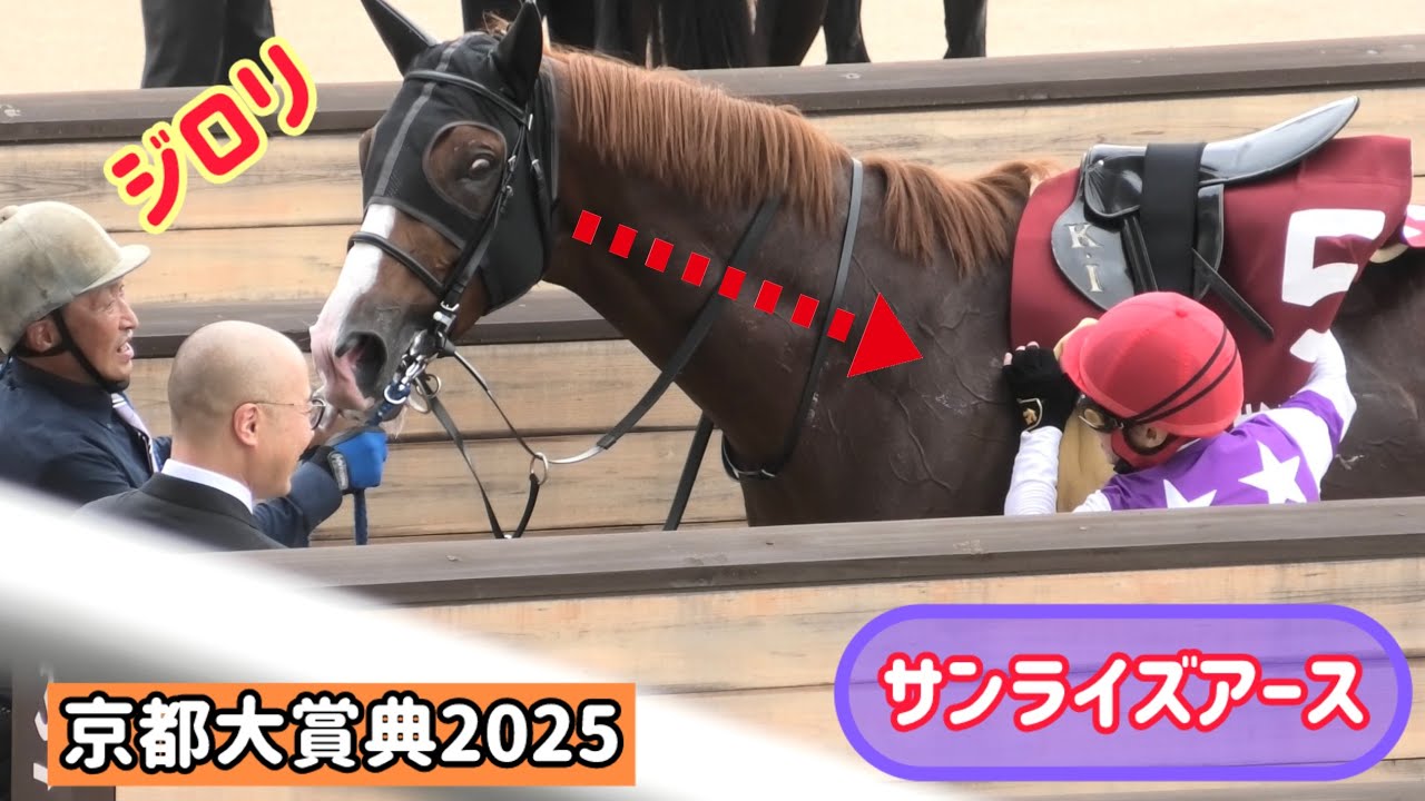 【京都大賞典2025】うつむき加減に舌ベロンベロン👅オーラ全開で歩くサンライズアース、2着の結果に池添騎手をにらむ？👀