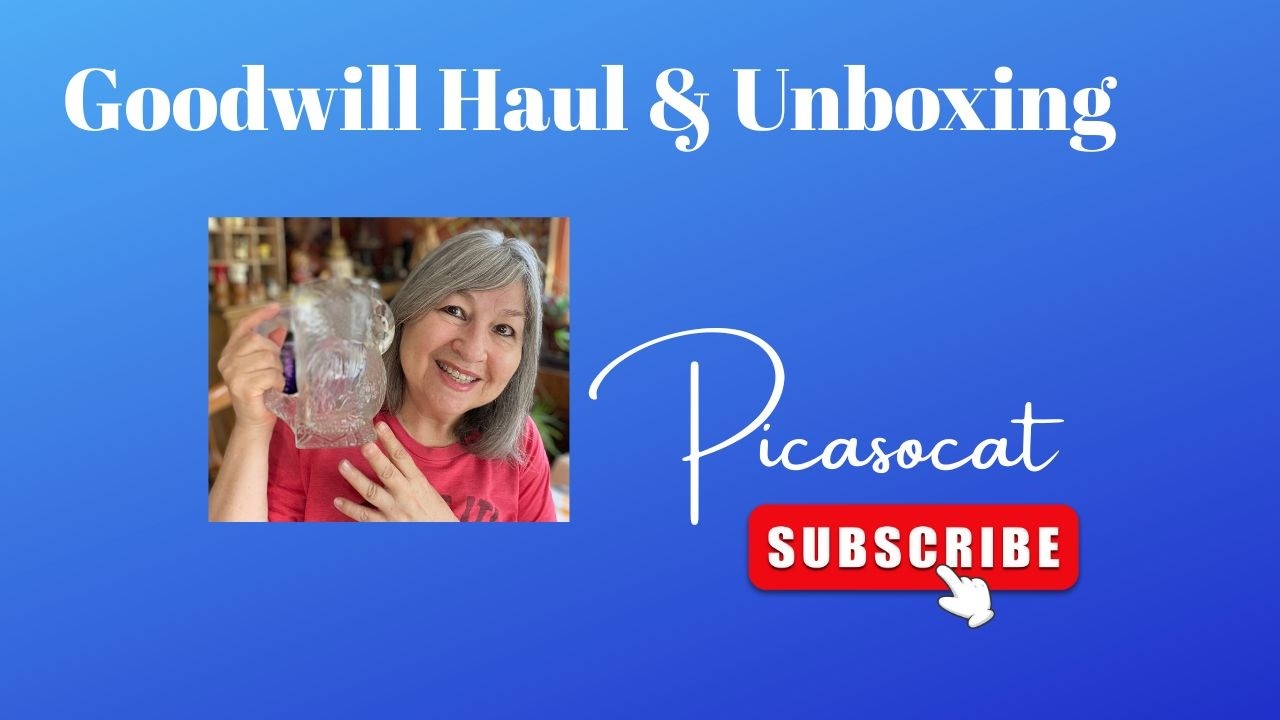 Goodwill Haul & Unboxing