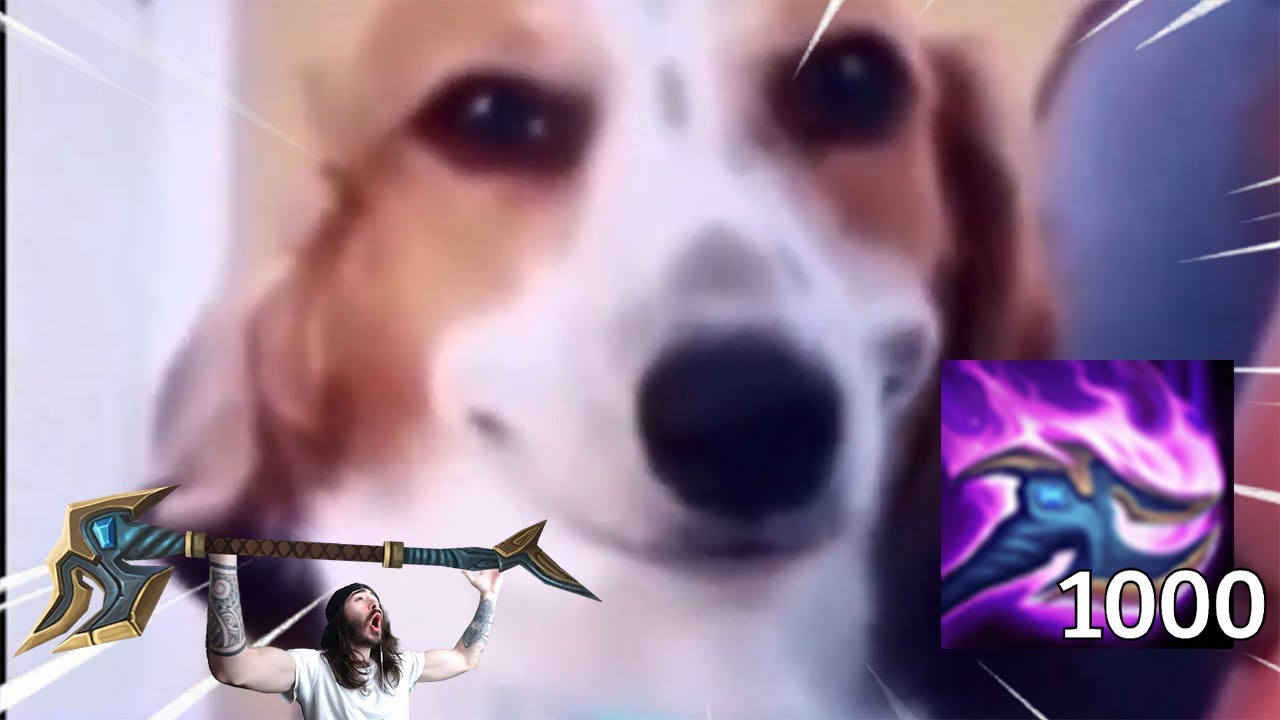 naSUS.exe