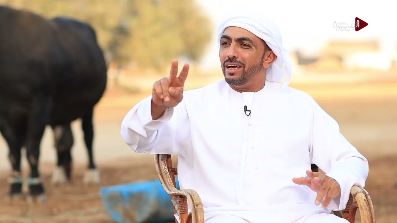 مسؤول ميدان نطاح الثيران محمد راشد الصريدي يخبرنا عن تاريخ هذه اللعبة