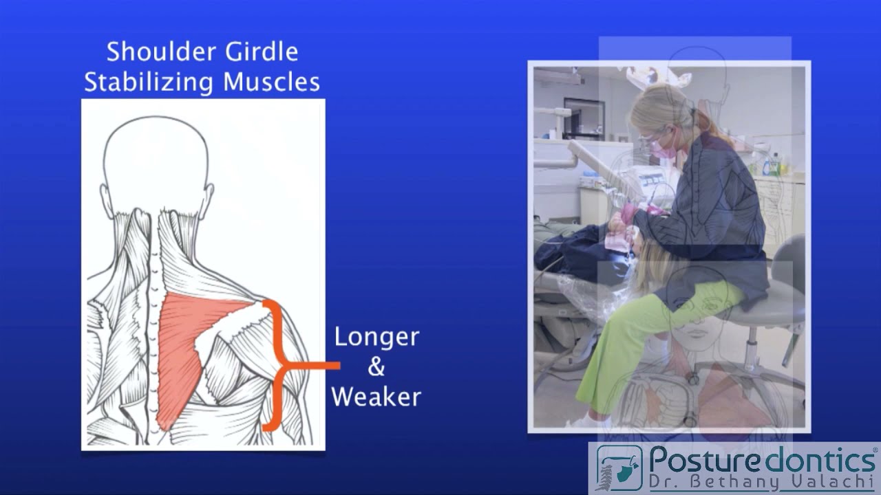 Evidence-based Exercises for Dental Professionals